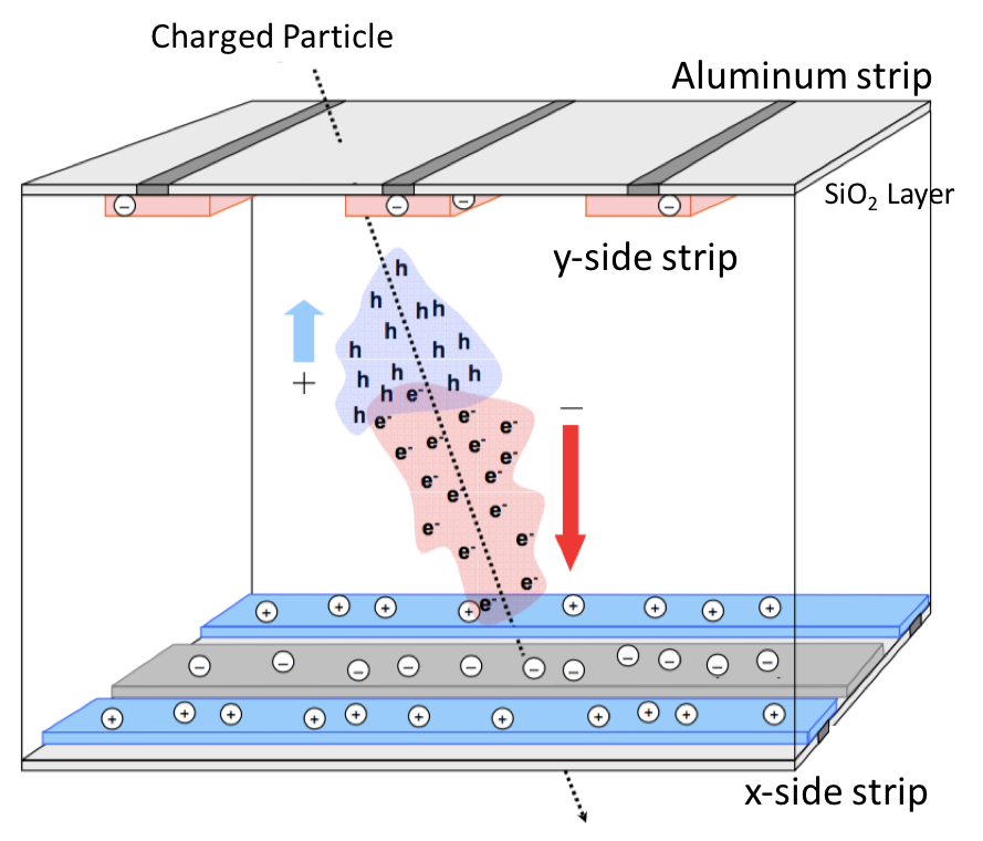 Schematics of the measurement principles of the silicon tracker.