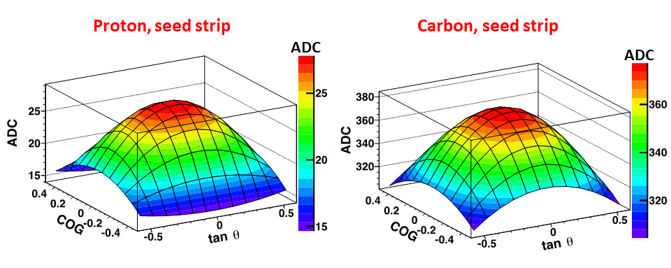 The pulse height (ADC) distribution for the seed strip A1 as a 2D function of COG and tan θ for protons and carbon before the correction.